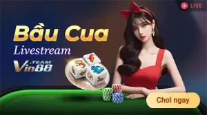 VIN88 12 bau cua livestream