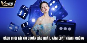 Cách Chơi Tài Xỉu Chuẩn Xác Nhất, Nắm Luật Nhanh Chóng 1 Cách chơi tài xỉu