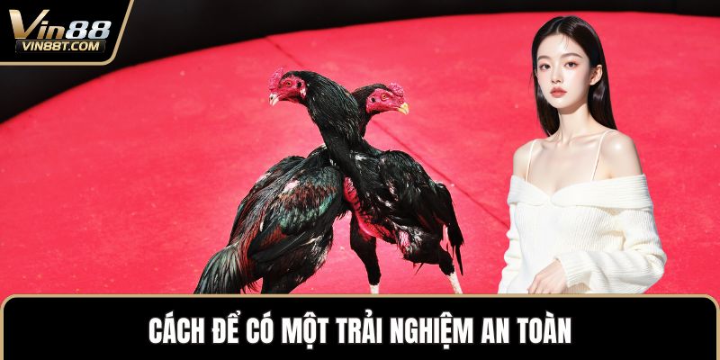 Đá Gà Trực Tiếp – Trải Nghiệm Vô Cùng Kịch Tính Đỉnh Cao 3 Cách để có một trải nghiệm an toàn