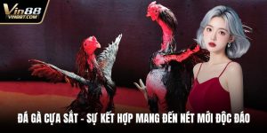 Đá Gà Cựa Sắt – Sự Kết Hợp Mang Đến Nét Mới Độc Đáo 4 Đá gà cựa sắt