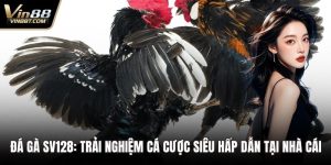Đá Gà SV128: Trải Nghiệm Cá Cược Siêu Hấp Dẫn Tại Nhà Cái 6 Đá gà SV128