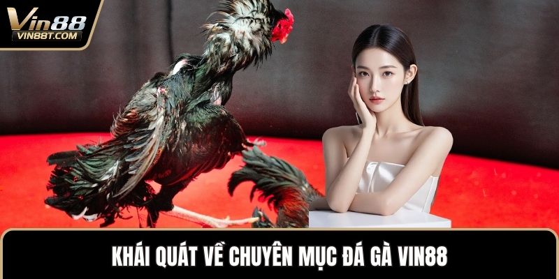 Khái quát về chuyên mục Đá gà VIN88
