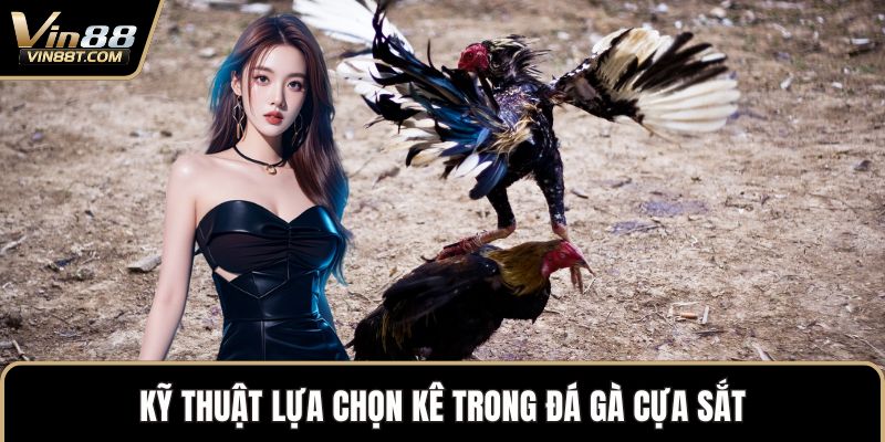 Đá Gà Cựa Sắt – Sự Kết Hợp Mang Đến Nét Mới Độc Đáo 2 Kỹ thuật lựa chọn kê trong đá gà cựa sắt