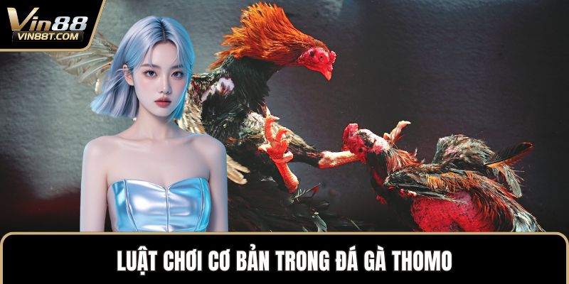 Đá Gà Thomo – Biểu Tượng Kịch Tính Trong Thế Giới Gà Chọi 2 Luật chơi cơ bản trong đá gà Thomo