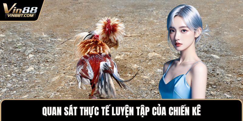 Quan sát thực tế luyện tập của chiến kê
