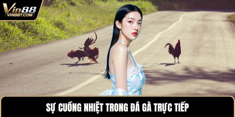 Đá Gà Trực Tiếp – Trải Nghiệm Vô Cùng Kịch Tính Đỉnh Cao 1 Sự cuồng nhiệt trong đá gà trực tiếp