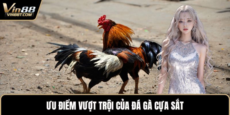 Đá Gà Cựa Sắt – Sự Kết Hợp Mang Đến Nét Mới Độc Đáo 1 Ưu điểm vượt trội của đá gà cựa sắt
